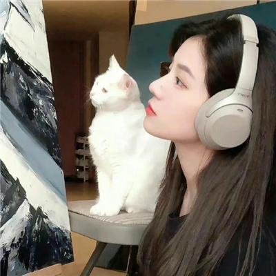 青石日记纪